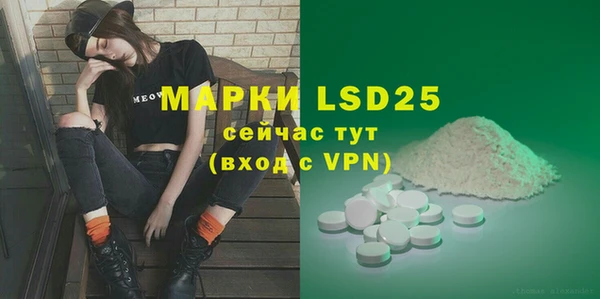 стафф Вяземский